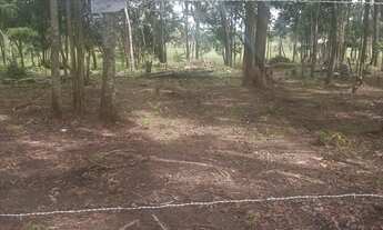 Imagem: Terreno no Goiabal