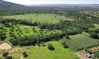 Imagem 6: Vende-se Fazenda em Buritis MG, 180km de Brasília - Um Paraíso de 159 Hectares