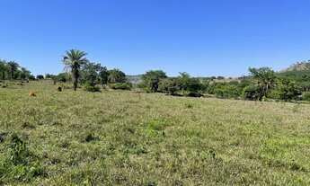 Imagem 7: Fazenda a venda 21 alqueires em Caturai-Go