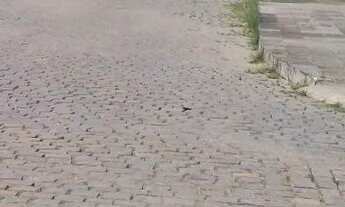 Imagem: Excelente terreno de 420m para construção