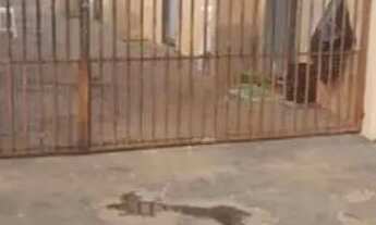 Imagem 2: Kitnets Bom Jardim