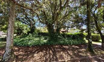Imagem 6: Terreno para Venda em Florianópolis, Jurerê Internacional