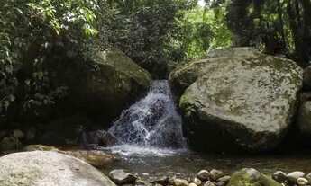 Imagem 3: Terreno em vargem grande