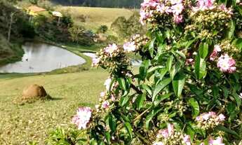 Imagem 7: Sítio em Mogi das Cruzes com Rio em área de 3.500m²