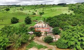 Imagem 3: Fazenda 191 alqueires ( 924 hectares) ipameri -GO