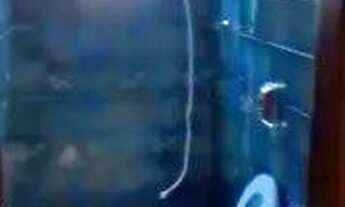 Imagem 6: Cobertura 02 quartos a venda no bairro Renascença na cidade de Belo Horizonte