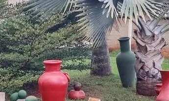 Imagem 4: SG- Embu das Artes