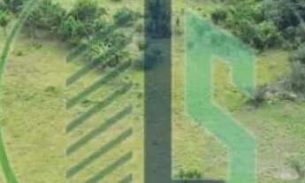 Imagem 3: Área de 482 hectares