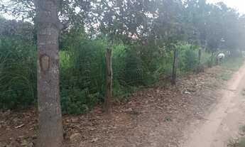 Imagem 4: Lote no povoado de vila nova próximo a Mambaí Goiás