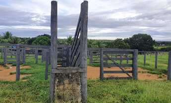 Imagem 7: Fazenda 3 quartos para Venda Amaral, Unaí