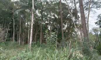 Imagem 2: Terreno de 2 mil mts 77 mil reais plaino