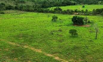 Imagem 6: Fazenda com dupla aptidão 41,5 alqueires, Planta em 21. Campinorte-GO