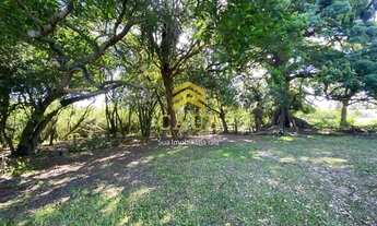 Imagem 3: Imóvel para venda tem 20000 metros quadrados com 3 quartos em Águas Claras - Viamão - RS