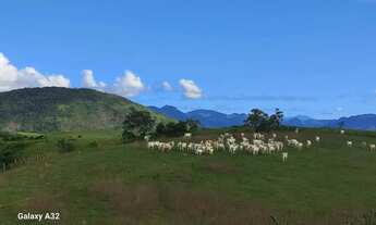 Imagem: Imóvel para venda tem 536800 metros quadrados