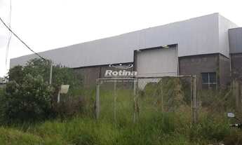 Imagem: Galpão para alugar, Distrito Industrial