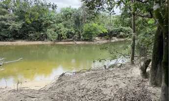 Imagem 5: Vendo lote de chácara no Murupu - Leia anúncio