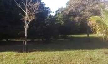 Imagem 6: Chácara para Natal e Ano Novo