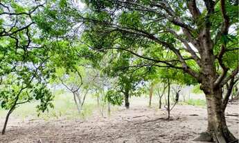 Imagem 6: Vendo lote de chácara no Murupu - Leia anúncio