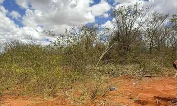 Imagem: Chácara a 21 km de Montes Claros