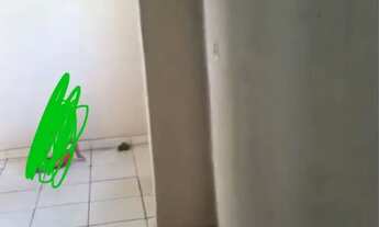 Imagem 4: Kitnet Setor Aeroporto Sul