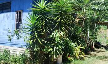 Imagem: Aluguel Anual - Casa com 2 dormitórios