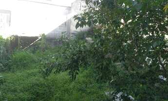 Imagem 3: Vendo Casa Casa com 3 dormitórios