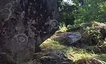 Imagem 7: Fazenda/Sítio/Chácara para venda com 160 metros quadrados com 2 quartos