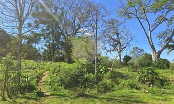 Imagem 7: Loteamento à venda em Vila São José - SP