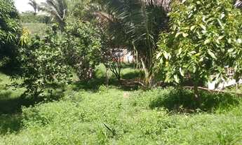 Imagem 5: BAIRRO: ESTIVA Área de terreno a venda de 69 mil m2 - Ilha de São Luís