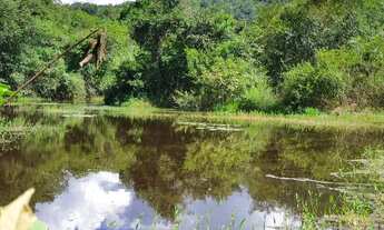 Imagem: Vendo Terrenos de 20.000m2 em Região de