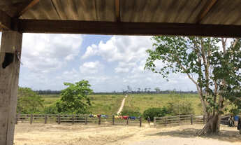 Imagem 7: Fazenda à venda no município de Anapu, Pará com 781 alqueires