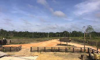 Imagem 3: Fazenda à venda no município de Anapu, Pará com 781 alqueires