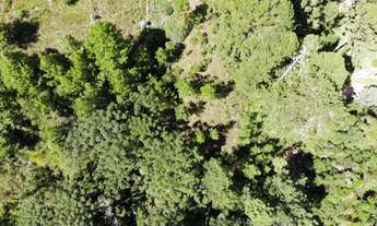 Imagem 4: Terreno à Venda na Região do Vale Encantado - Campos do Jordão/SP