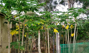 Imagem 6: 1380 MTS pronto para lazer ou morar fácil negociação * whatsapp