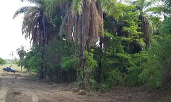 Imagem 6: Melhores lotes em Sete Lagoas-Mg