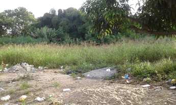 Imagem 3: Chácara a venda no setor Cidade Satélite em Aparecida de Goiânia