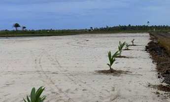 Imagem 4: Lotes Barra Grande 2200m. Escriturado e financia!