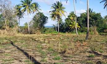 Imagem 6: Fazenda/Sítio/Chácara para venda com 100000 metros quadrados em Praia Bela - Pitimbu - PB