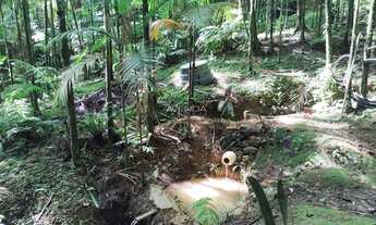 Imagem 6: CHÁCARA SANTA MARIA DAS FLORES!!!ÓTIMA LOCALIZAÇÃO, próximo ao Centro Histórico de Morrete