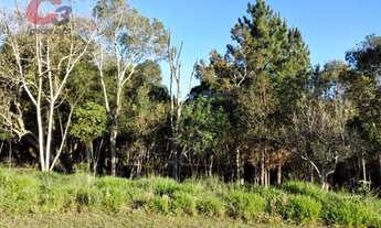 Imagem 2: Terreno à venda, 3500 m² por R$ 790.000,00 - Menino Deus - Quatro Barras/PR