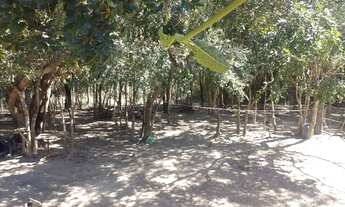 Imagem 5: Para quem quer Paz e Sossego