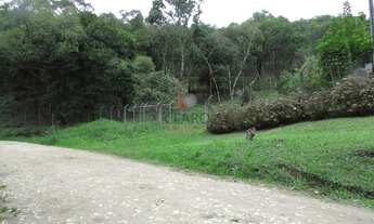 Imagem 3: CHÁCARA/FAZENDA/SÍTIO com 1 dormitório à venda com 6101.38m² por R$ 450.000,00 no bairro C