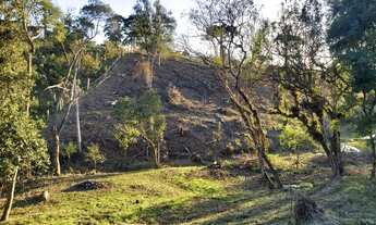 Imagem 2: RIO NEGRINHO - AREA - Vila Nova