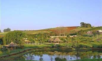 Imagem 2: Terreno 1250m2 Cond. Terras de Canaa