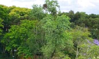 Imagem 5: APARTAMENTO com 2 dormitórios à venda com 183.84m² por R$ 695.000,00 no bairro Champagnat