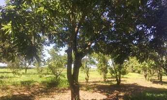 Imagem 5: SITIO 6 ALQUEIRES EM JARDINÉSIA - PRATA