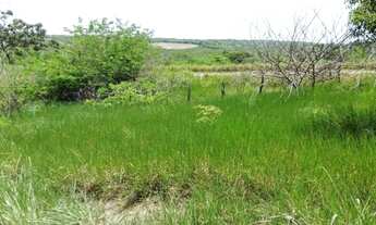 Imagem 7: Fazenda/Sítio/Chácara para venda com 100000 metros quadrados em Praia Bela - Pitimbu - PB