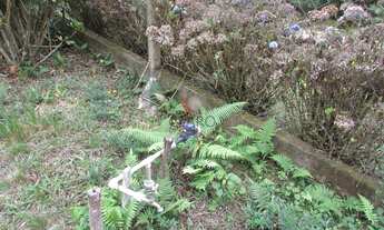 Imagem 6: CHÁCARA/FAZENDA/SÍTIO com 1 dormitório à venda com 6101.38m² por R$ 450.000,00 no bairro C