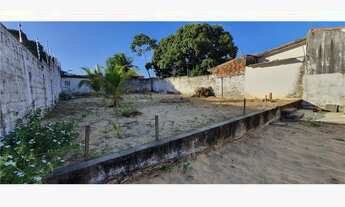 Imagem 6: Casa reformada frente sombra e ventos 3 quartos com suíte 188 m² 4 vagas e quintal grande