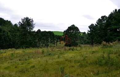Imagem 5: Sítio no bairro Vila Oliva em Caxias do Sul!